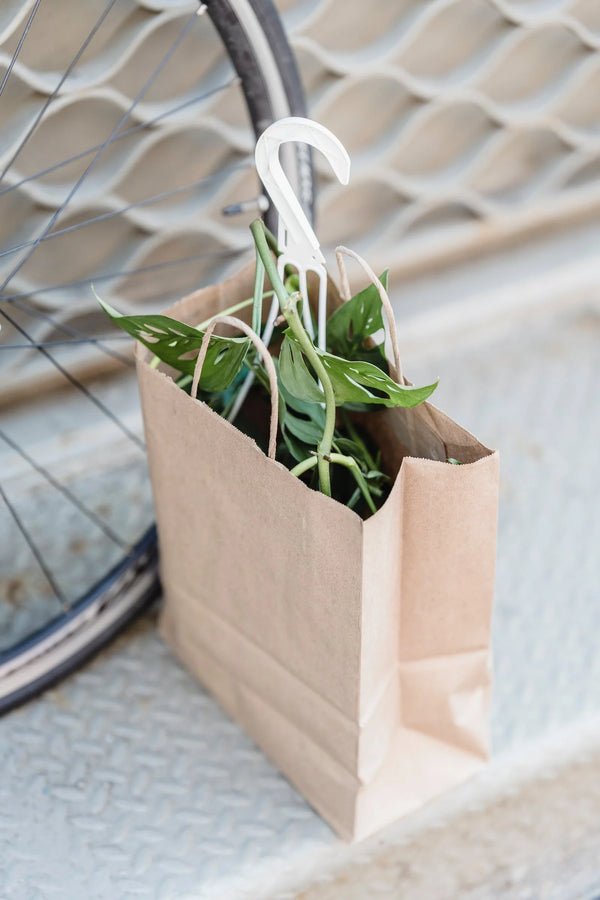 Sustainable Style: Embrace Eco-Friendly Living with Kraft Bags
