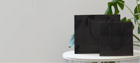 Laminated Paper Bag