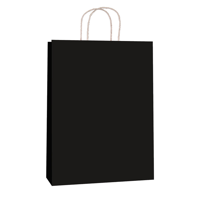 Large -  Black Paper Bags