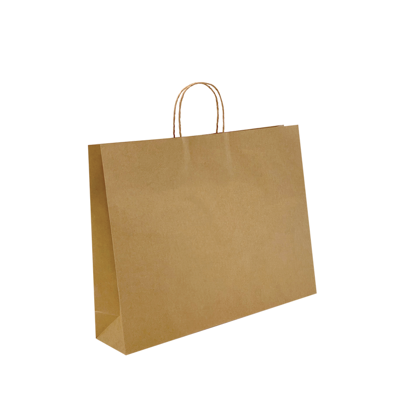 Large BOUTIQUE - Brown Paper Bags