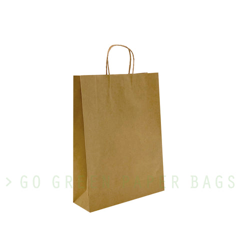 Large - Brown Paper Bags