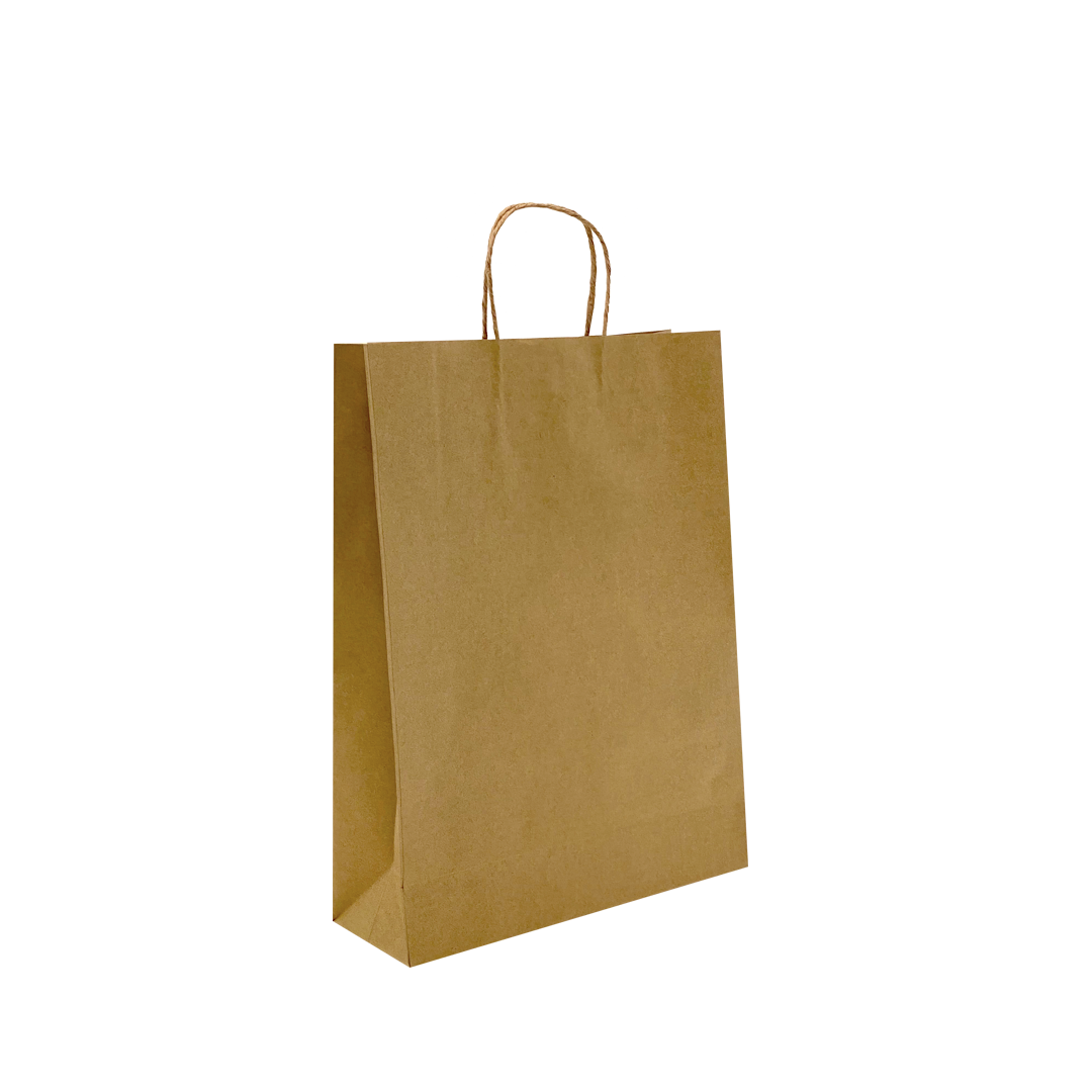 Large - Brown Paper Bags